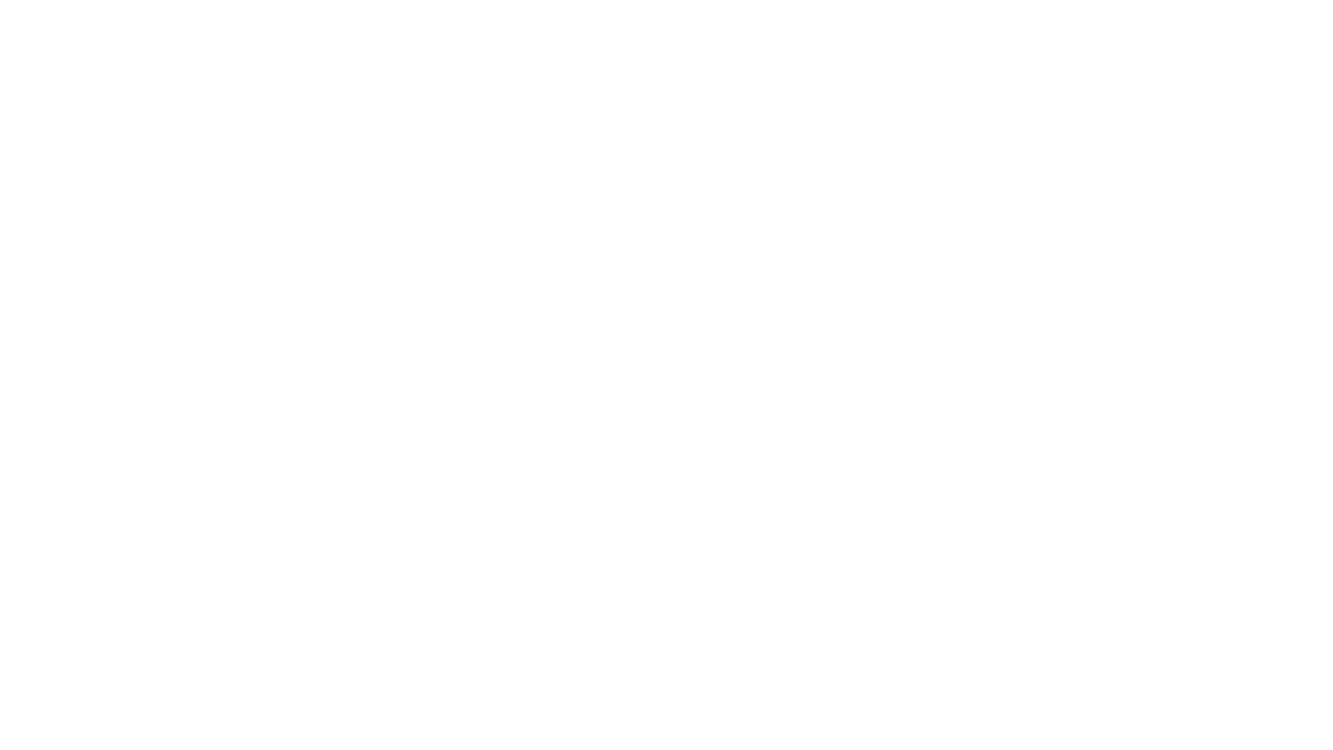 Logo of Nebulae Software, with a stylized symbol and the company name in bold typography.